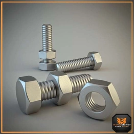 SS Nut Bolt