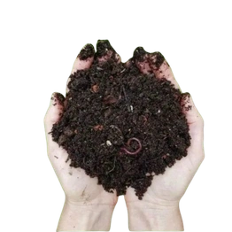 Vormicompost