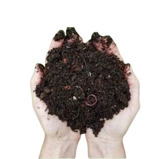 Vormicompost