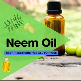 Organic Neem Oil