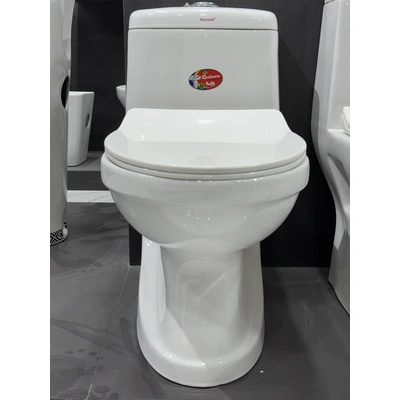 REALWARE One Piece water closet 101