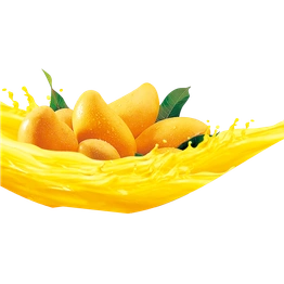 ALPHANSO MANGO PULP