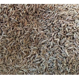 Cumin Seeds