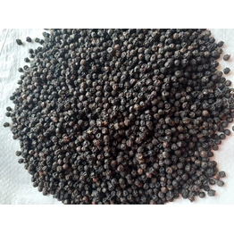 Black Pepper