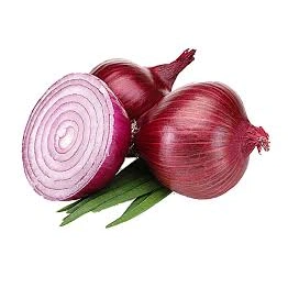 Onion