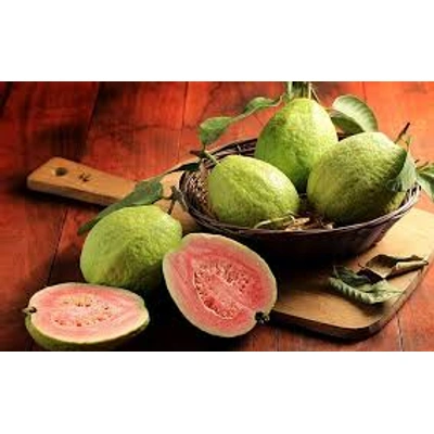 Guava