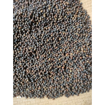 Indian Black Pepper