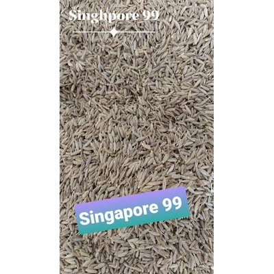 CUMIN SEEDS (SINGAPORE 99% PURITY) WHOLE