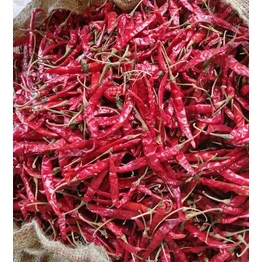 DRY RED CHILLIES WHOLE (GUNTUR QUALITY)